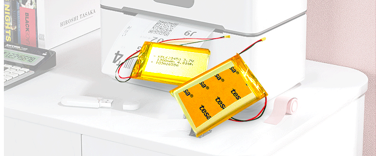 Polymer Battery